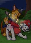 bewundern Straße Rezept paw patrol xnxx Golden Umleitung Fou